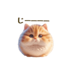 毎日使える！まんまる猫の日常スタンプ（個別スタンプ：5）