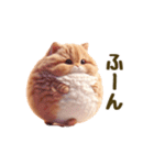 毎日使える！まんまる猫の日常スタンプ（個別スタンプ：10）