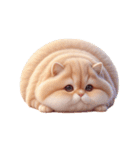毎日使える！まんまる猫の日常スタンプ（個別スタンプ：23）