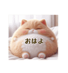 毎日使える！まんまる猫の日常スタンプ（個別スタンプ：31）