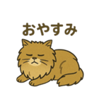 不機嫌なライオンねこ（個別スタンプ：3）