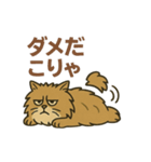 不機嫌なライオンねこ（個別スタンプ：5）