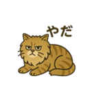 不機嫌なライオンねこ（個別スタンプ：7）