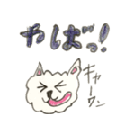 日常わんこ だんご 2（個別スタンプ：2）