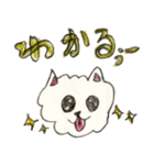 日常わんこ だんご 2（個別スタンプ：5）