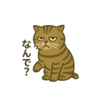 無表情な、丸顔の茶トラの日常（個別スタンプ：5）