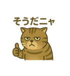 無表情な、丸顔の茶トラの日常（個別スタンプ：8）