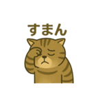 無表情な、丸顔の茶トラの日常（個別スタンプ：9）