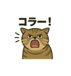 無表情な、丸顔の茶トラの日常（個別スタンプ：10）