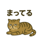 無表情な、丸顔の茶トラの日常（個別スタンプ：12）