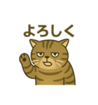 無表情な、丸顔の茶トラの日常（個別スタンプ：15）