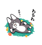 にゃん八のスタンプ（個別スタンプ：12）