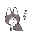 にゃん八のスタンプ（個別スタンプ：18）