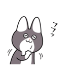 にゃん八のスタンプ（個別スタンプ：19）