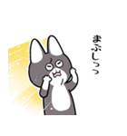 にゃん八のスタンプ（個別スタンプ：21）