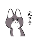 にゃん八のスタンプ（個別スタンプ：23）