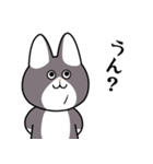 にゃん八のスタンプ（個別スタンプ：24）