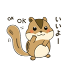 しまりす大好き1（個別スタンプ：1）