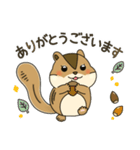 しまりす大好き1（個別スタンプ：3）