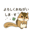 しまりす大好き1（個別スタンプ：4）
