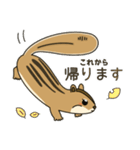 しまりす大好き1（個別スタンプ：5）