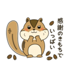 しまりす大好き1（個別スタンプ：7）