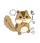 しまりす大好き1（個別スタンプ：9）