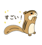 しまりす大好き1（個別スタンプ：11）