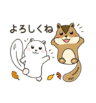 しまりす大好き1（個別スタンプ：12）