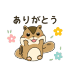 しまりす大好き1（個別スタンプ：13）