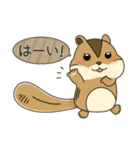 しまりす大好き1（個別スタンプ：16）