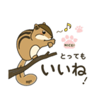 しまりす大好き1（個別スタンプ：17）