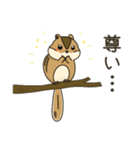 しまりす大好き1（個別スタンプ：19）