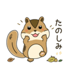 しまりす大好き1（個別スタンプ：22）