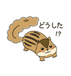しまりす大好き1（個別スタンプ：25）