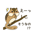 しまりす大好き1（個別スタンプ：26）
