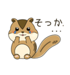 しまりす大好き1（個別スタンプ：28）