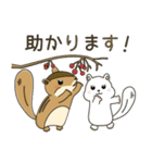 しまりす大好き1（個別スタンプ：30）