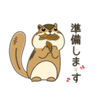 しまりす大好き1（個別スタンプ：31）