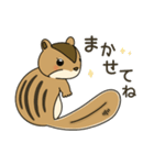 しまりす大好き1（個別スタンプ：34）