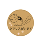 しまりす大好き1（個別スタンプ：40）