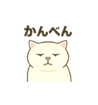 まるコロ、シロシの気持ち（個別スタンプ：16）