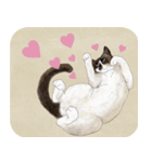 水彩画シャムミックス_01（個別スタンプ：2）