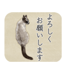 水彩画シャムミックス_01（個別スタンプ：11）