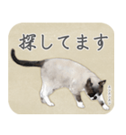 水彩画シャムミックス_01（個別スタンプ：15）