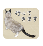 水彩画シャムミックス_01（個別スタンプ：23）
