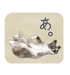 水彩画シャムミックス_01（個別スタンプ：29）