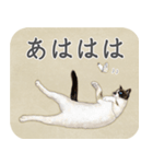 水彩画シャムミックス_01（個別スタンプ：40）