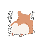 ふにゃコーギーの敬語スタンプ（個別スタンプ：8）
