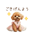 トイプードルお嬢様の優雅なおしゃべり（個別スタンプ：2）
